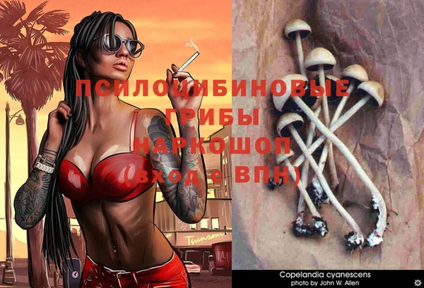 трава Медногорск