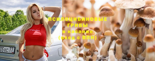 трава Медногорск