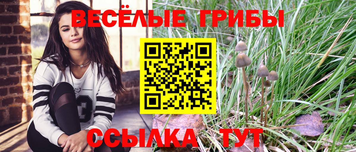 Галлюциногенные грибы MAGIC MUSHROOMS Люберцы