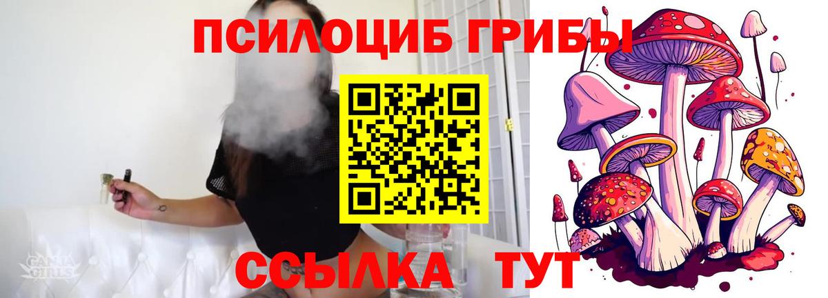 Галлюциногенные грибы GOLDEN TEACHER  сколько стоит  Люберцы  Псилоцибиновые грибы MAGIC MUSHROOMS 